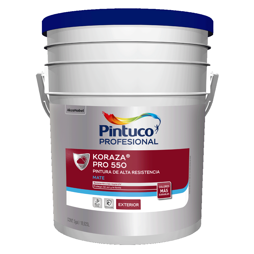 Producto 4